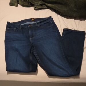 Lee Women's Legendary Mid Rise Straight Leg Jean 10 Long